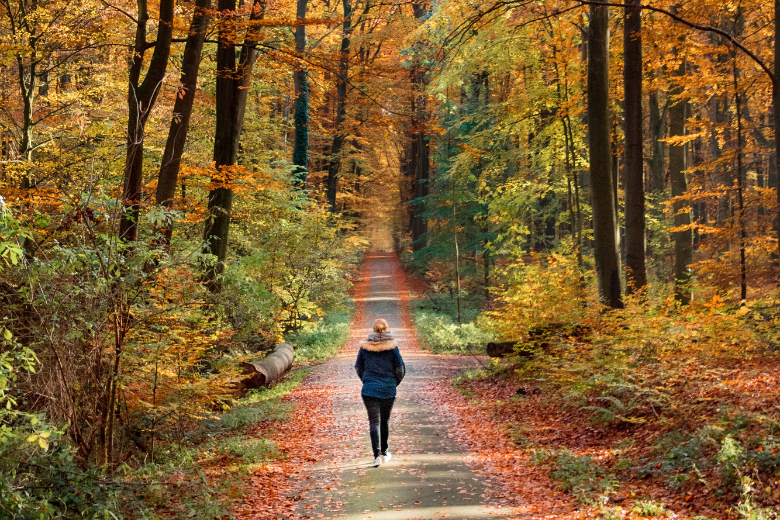Sorprendente: caminar hacia atrás es bueno para la salud