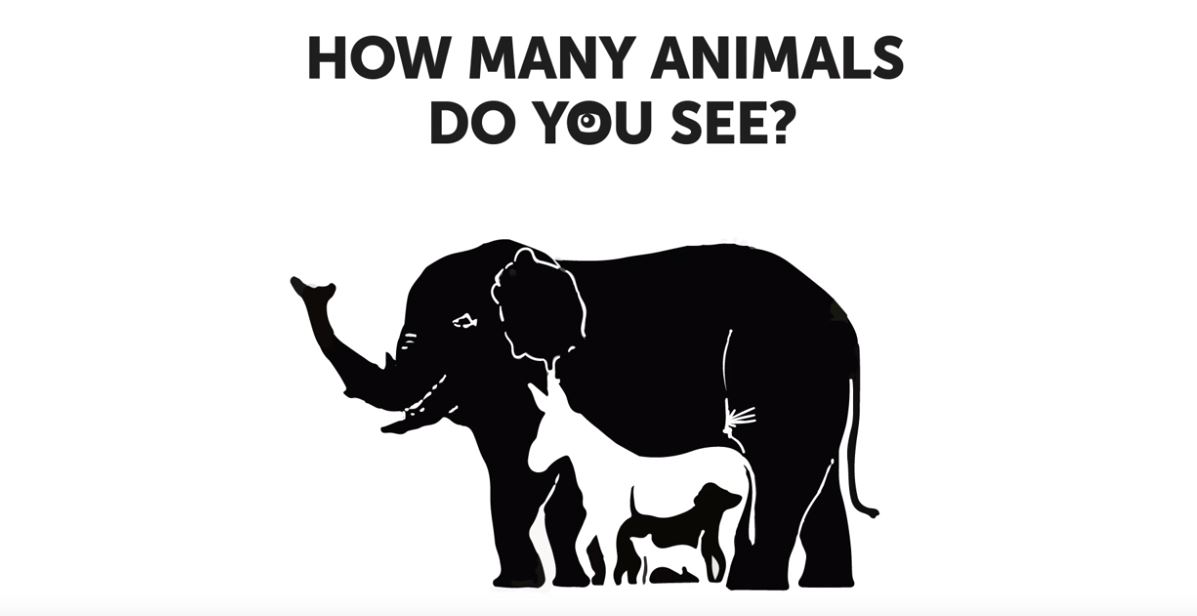 ¿Cuántos animales logras descubrir? Casi nadie llega al número correcto.