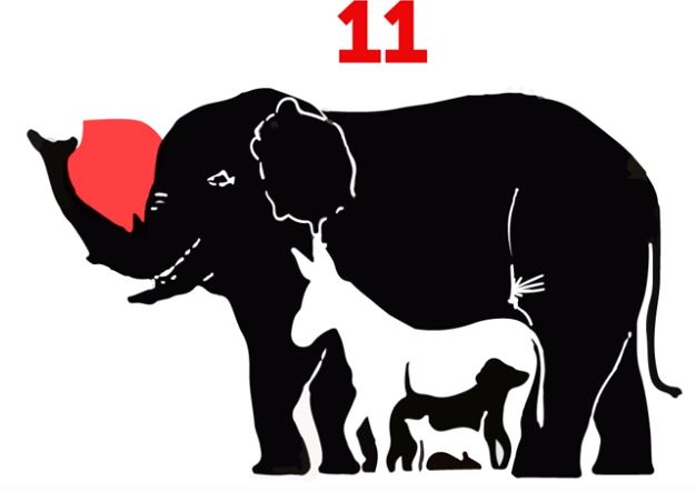 ¿Cuántos animales logras descubrir?
