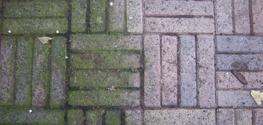 ¡Deshazte de las espantosas manchas verdes de las baldosas! Es tan fácil que no lo creerás. ¡Debes probar esto!