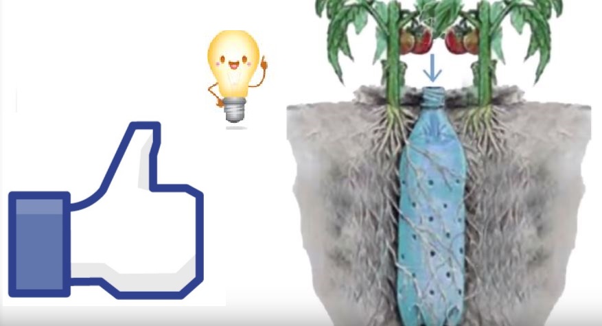 Ella usa botellas de plástico vacías en el jardín. ¡Solo mira estos geniales efectos!