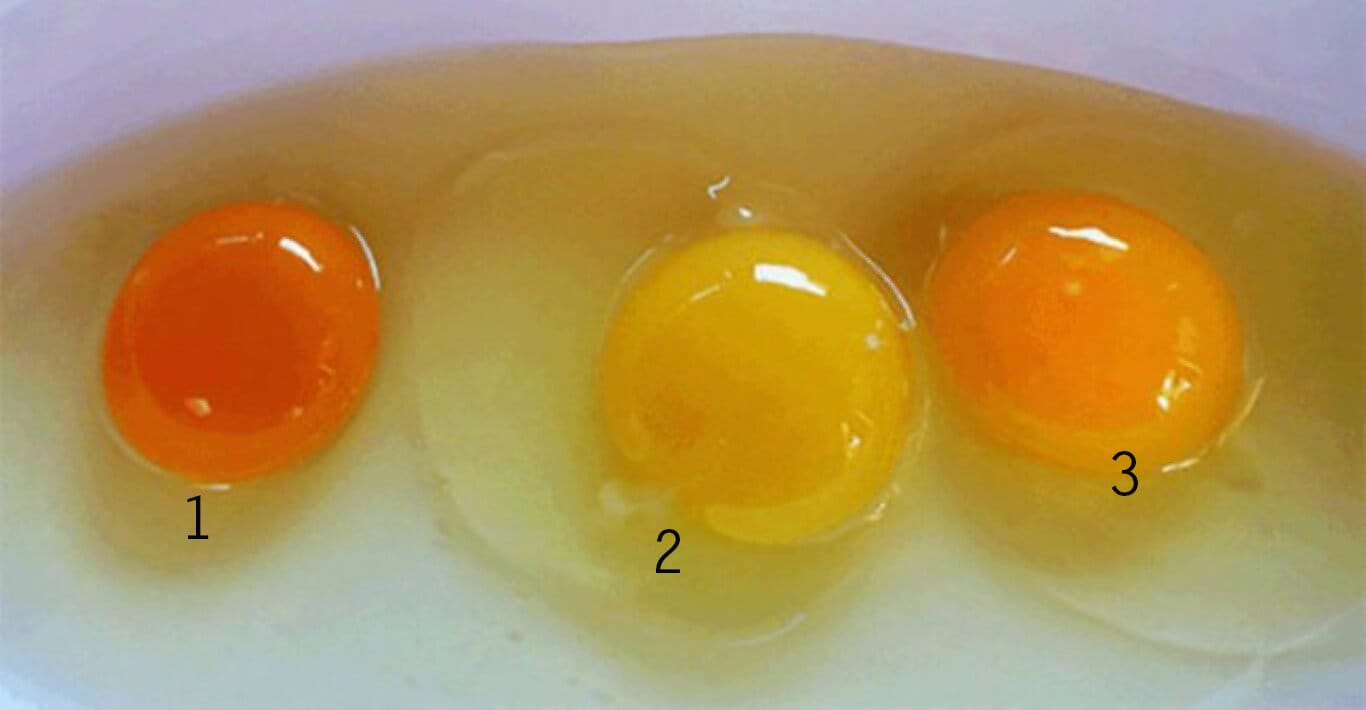 Esto es lo que dice el color de la yema de huevo sobre la salud del pollo 