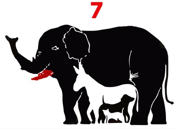 ¿Cuántos animales logras descubrir?
