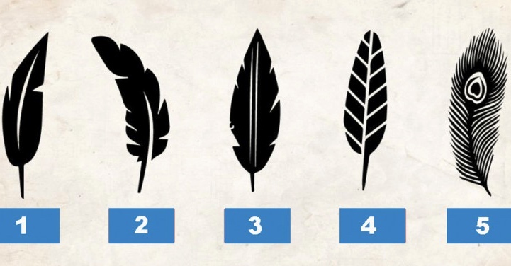 Prueba: ¡la pluma que eliges dice mucho sobre tu personalidad! ¿Qué pluma prefieres?