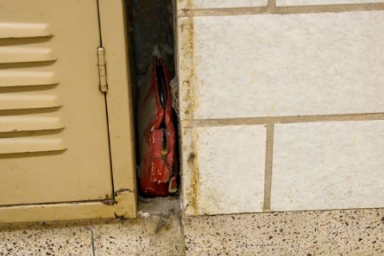 Excepcional: la vieja mochila de la escuela del año 1957 contiene artículos únicos del pasado
